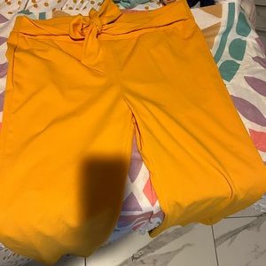 Dressy bellbottom pants